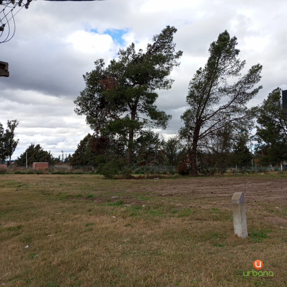 Lote Av Alem (512M2)