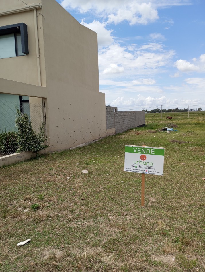 Terreno 12x50 Reina Margarita