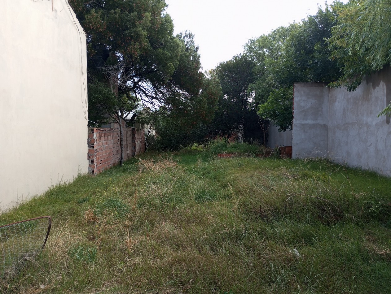Lote en Claromeco 10x40