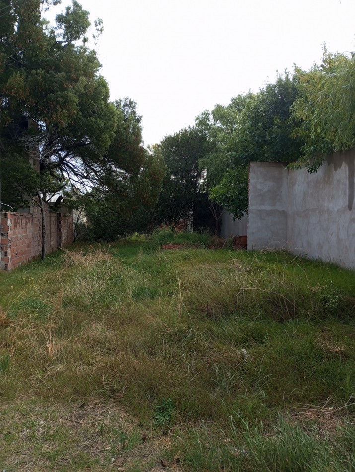 Lote en Claromeco 10x40
