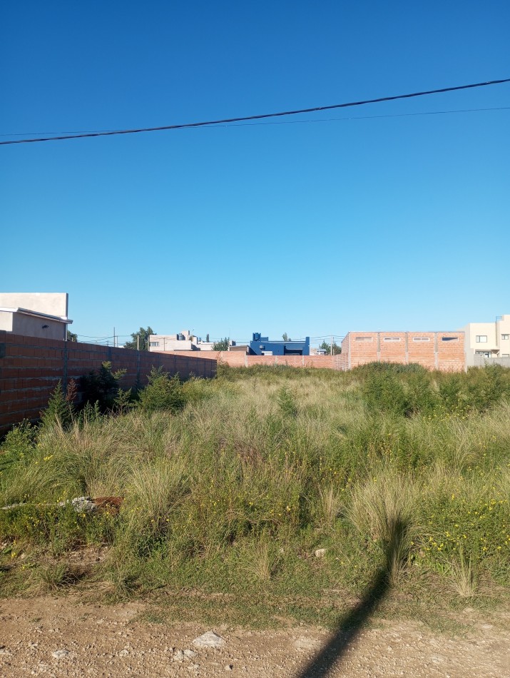 Terreno en Calle Claromeco