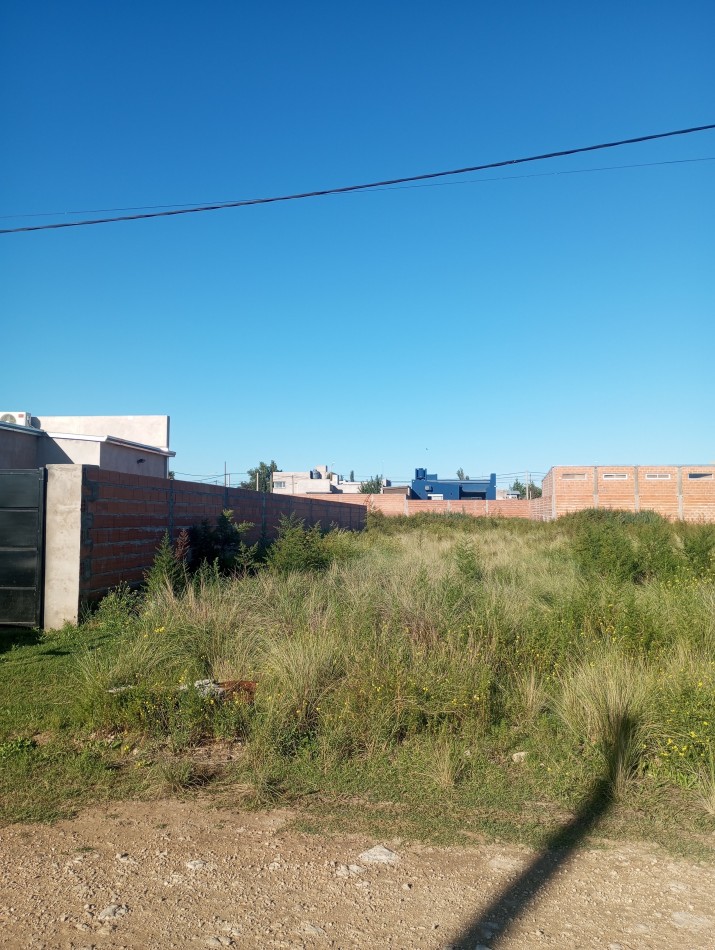 Terreno en Calle Claromeco