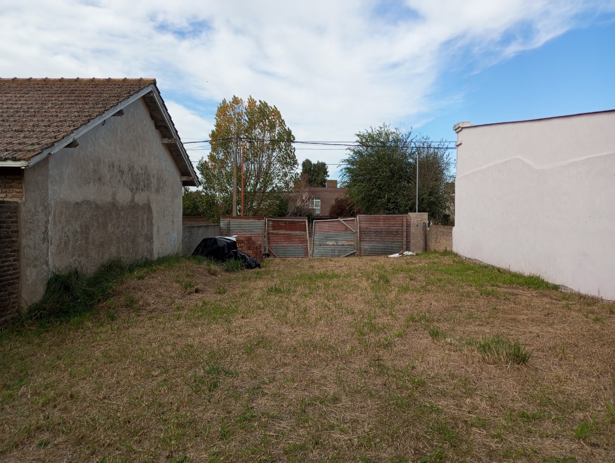 Lote sobre Av. Belgrano