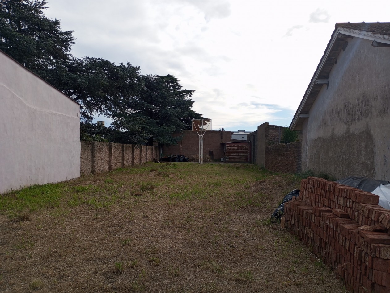 Lote sobre Av. Belgrano