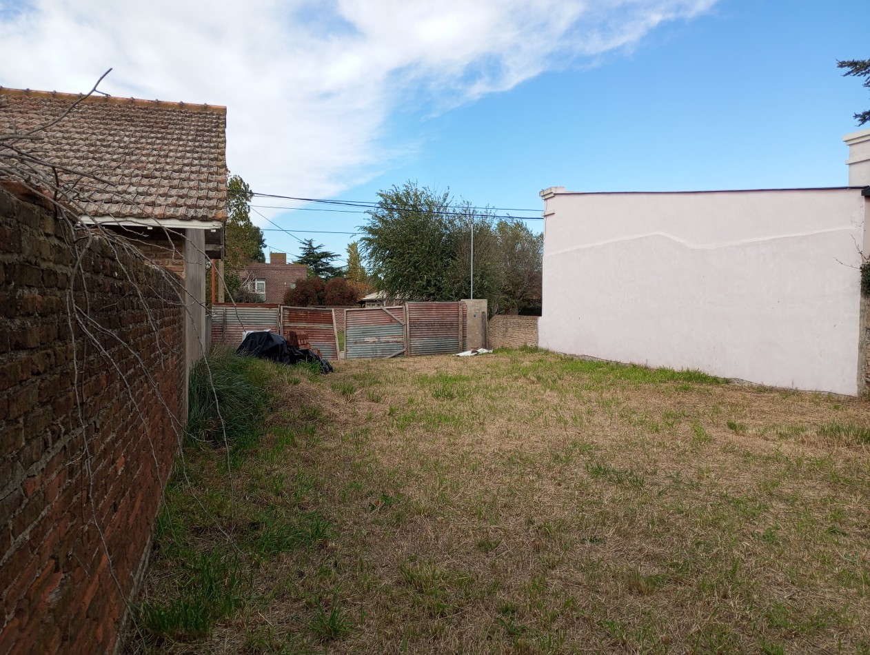 Lote sobre Av. Belgrano