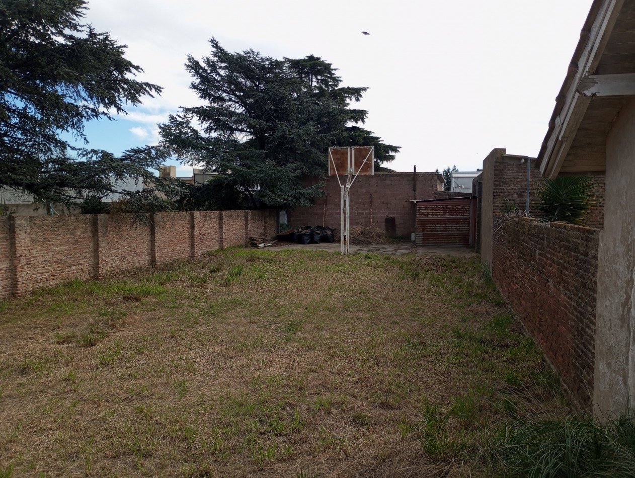 Lote sobre Av. Belgrano