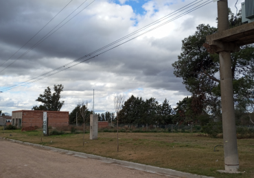 Lote Av Alem (512M2)