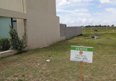 Terreno 12x50 Reina Margarita